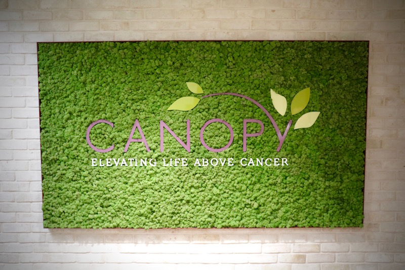 Canopy The Woodlands Charities Into The Woods
