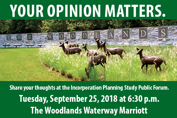 Incorporation Study Public Forum_600x400