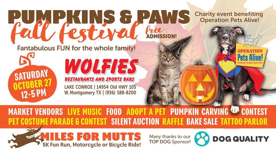 Pumpkins & Paws Fall Festival to benefit OPA