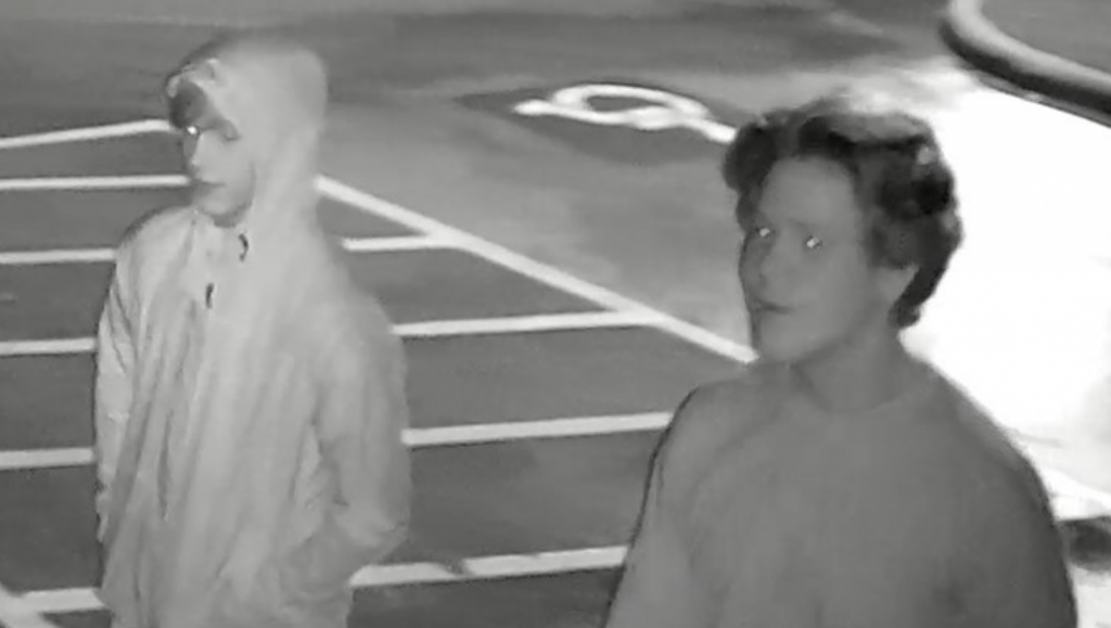 Sheriff Seeks Those Responsible for Felony Criminal Mischief at Park